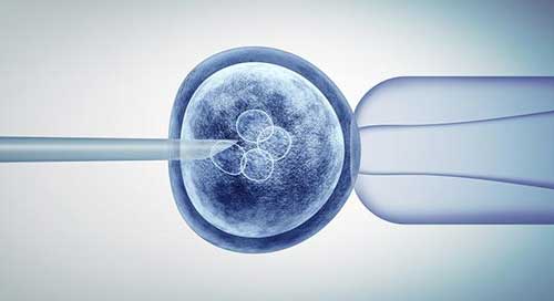 中性粒细胞偏高可以移植鲜胚吗？移植鲜胚的条件有哪些？ 