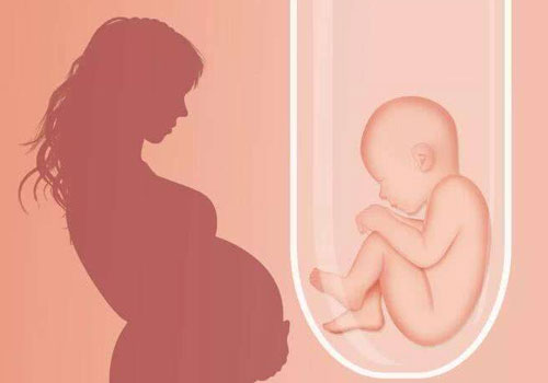 试管婴儿确定怀孕吗？移植十四天后检查确认！