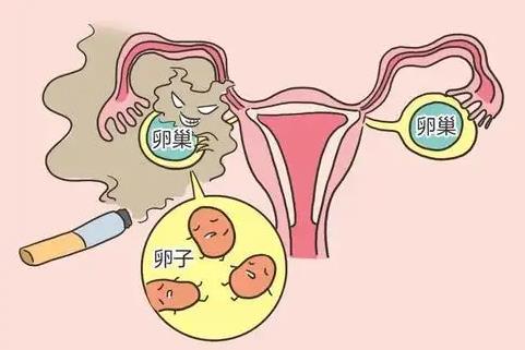 内分泌失调卵巢早衰能同房吗？卵巢早衰对夫妻有什么影响？