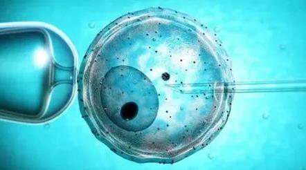 试管鲜胚怎么会积血？广州试管鲜胚移植怎么算孕几周？
