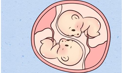 试管婴儿双胞胎长相一样吗？试管婴儿双胞胎长的像吗？