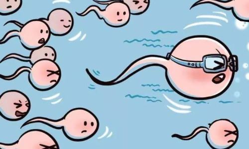 弱精少精回导致宫外孕吗?做完输卵管再造术还会得宫外孕吗?